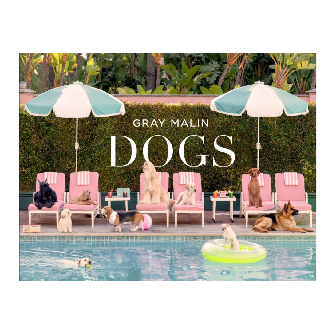 Gray Malin: Dogs Book
