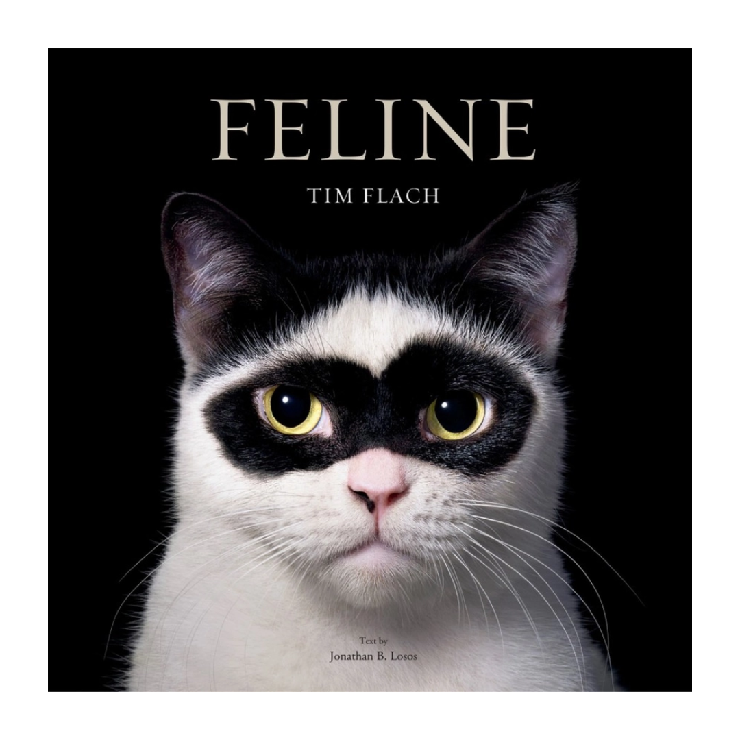 Feline Book