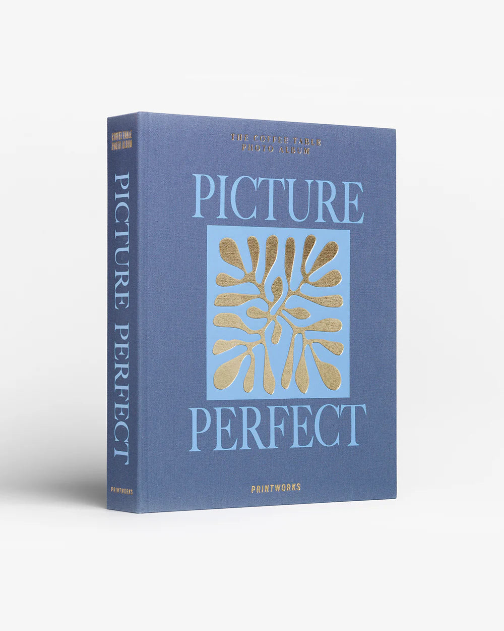 Picture Perfect Photo Album Book