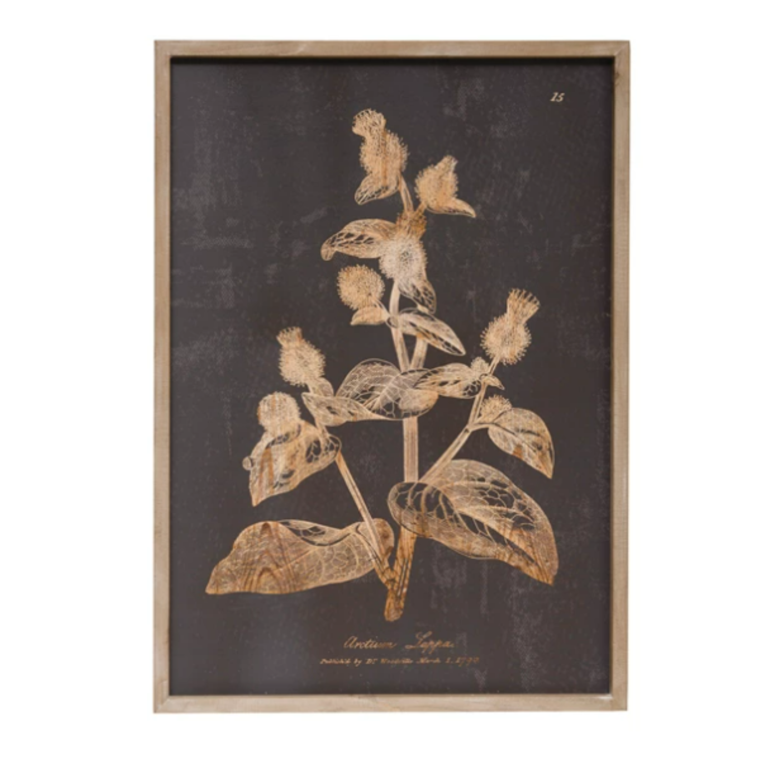 Wall Decor with Botanical Print, 2 Styles