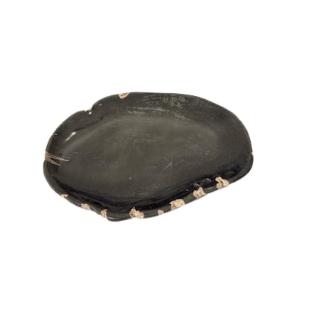Small Petrified Wood Plate