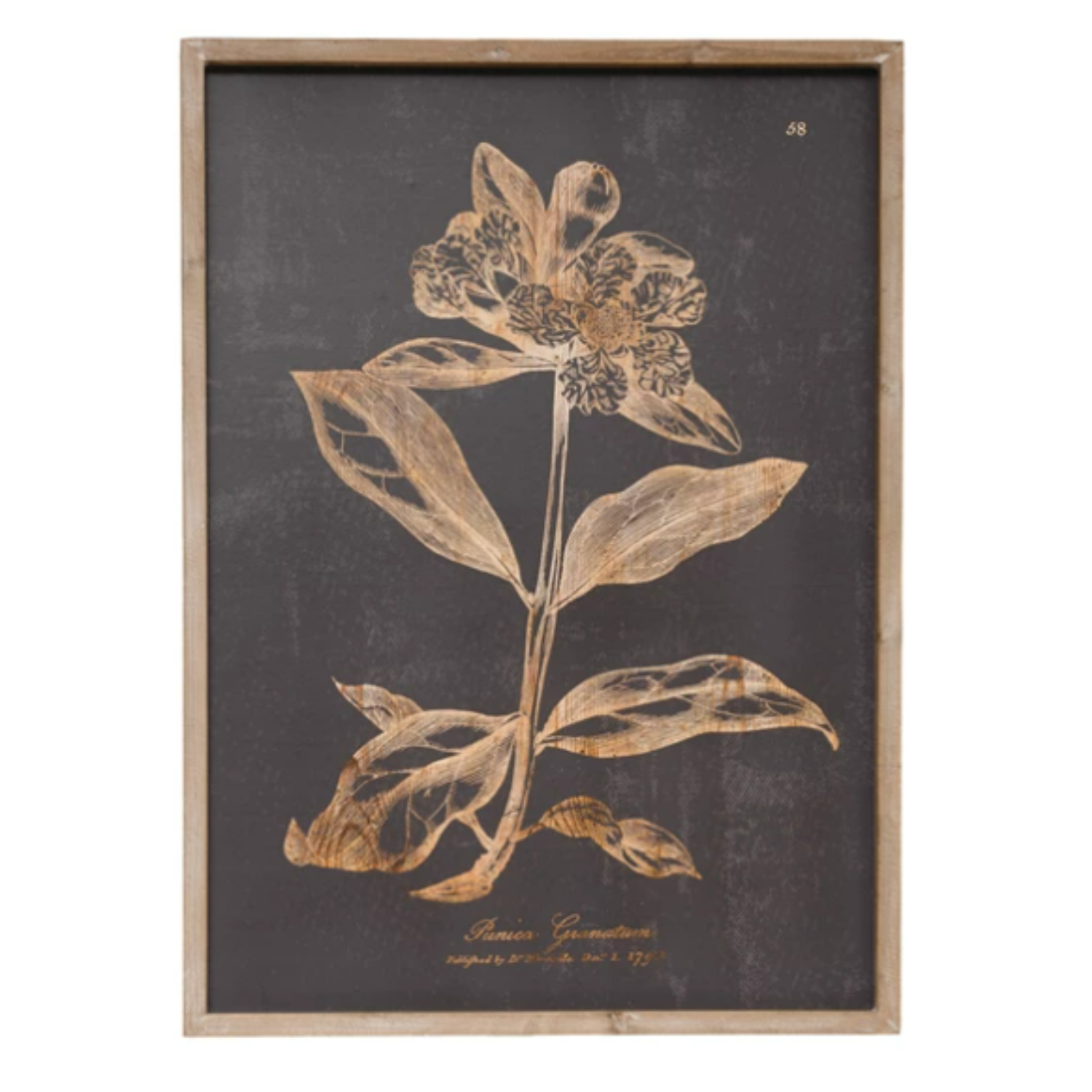 Wall Decor with Botanical Print, 2 Styles