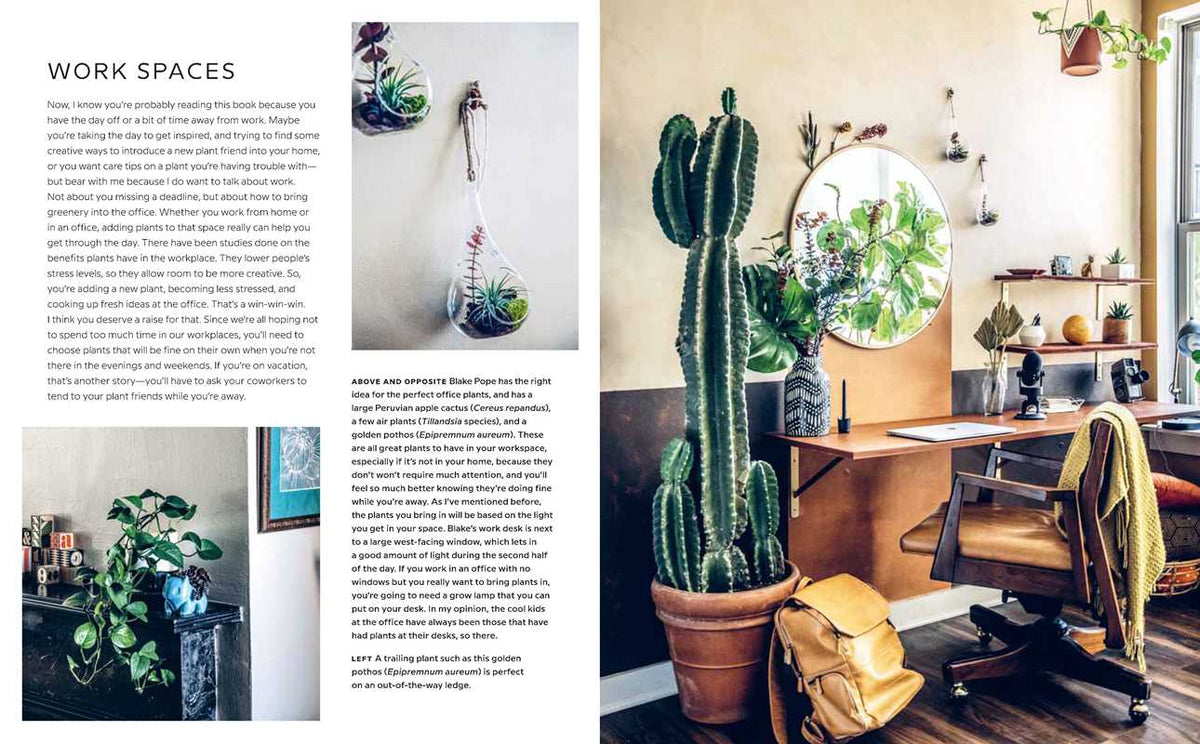 Wild Interiors by Hilton Carter
