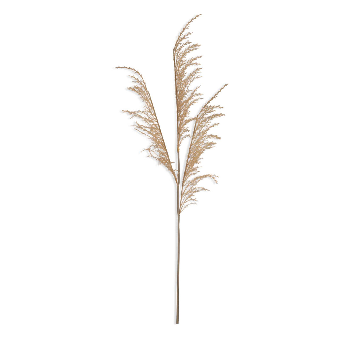Artificial Wild Oat Grass