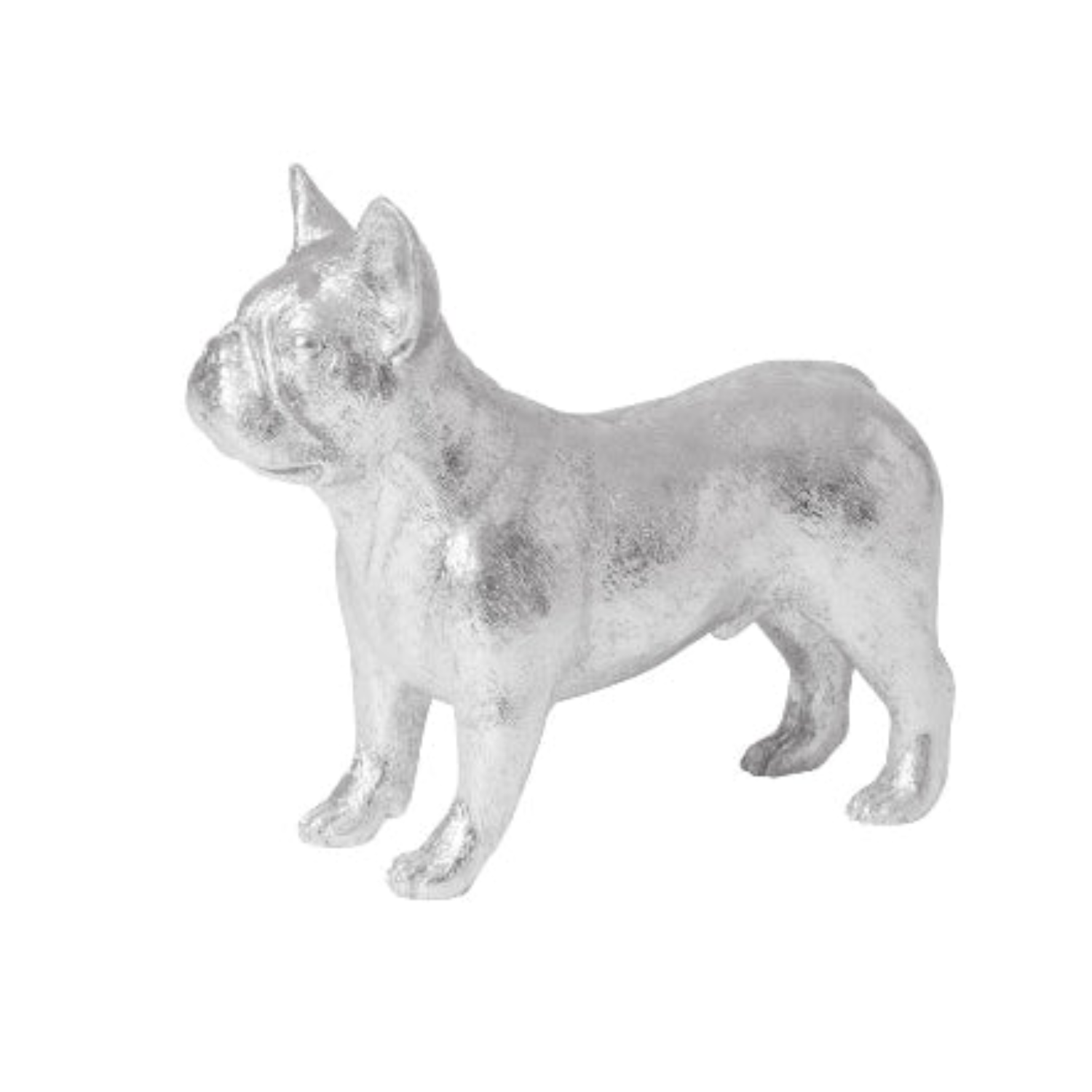 Silver French Bulldog