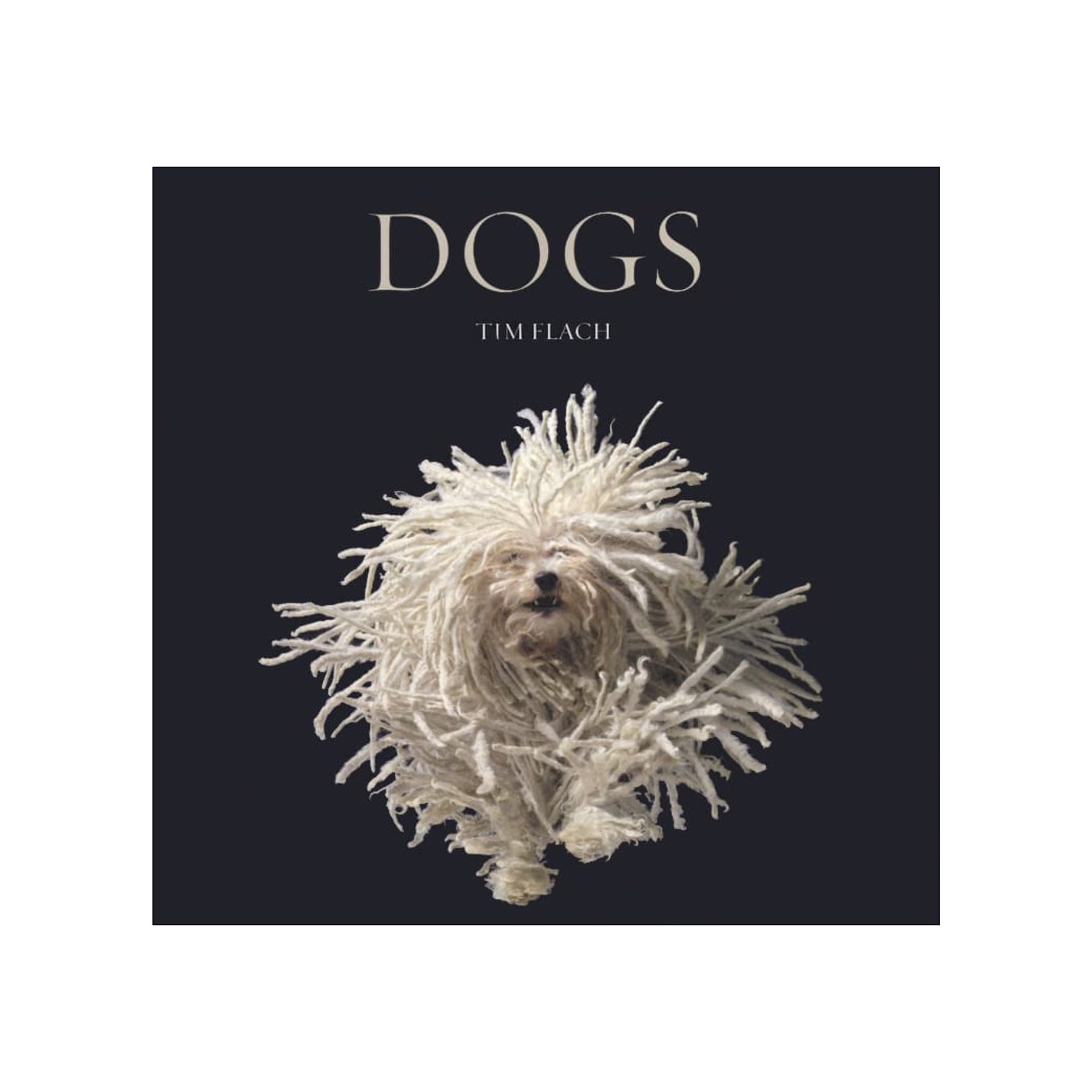 Dogs