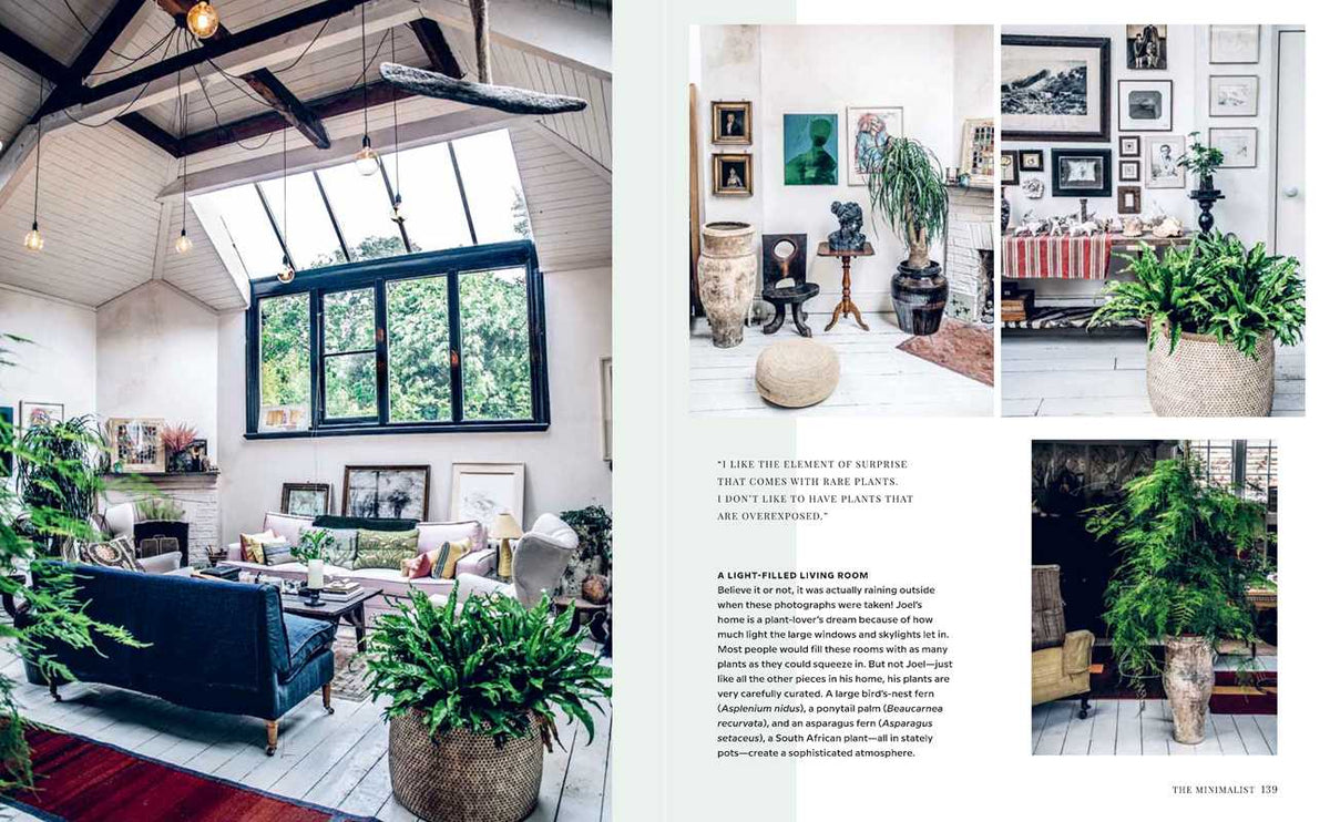 Wild Interiors by Hilton Carter