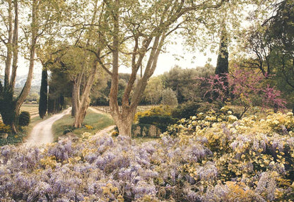 American in Provence by Jamie Beck