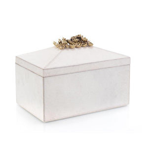 Blanca Box