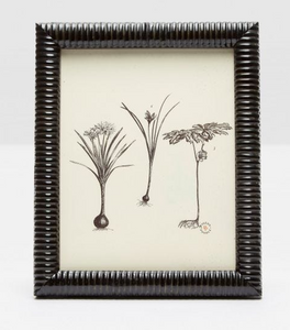 Metz Frame